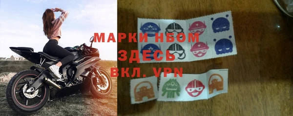 ECSTASY Горняк