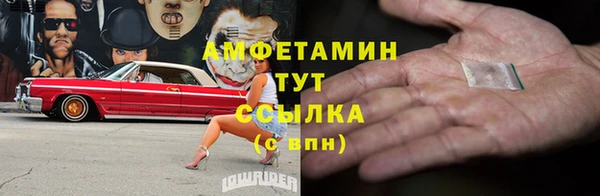 ECSTASY Горняк