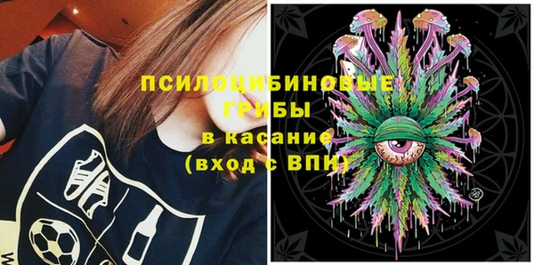 гашик Горнозаводск