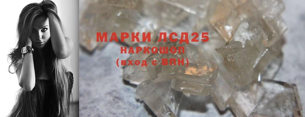 ECSTASY Горняк