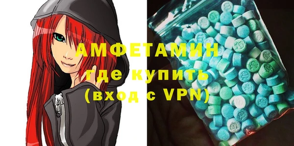 ECSTASY Горняк