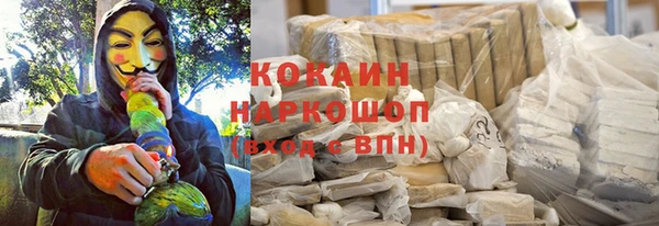 ECSTASY Горняк