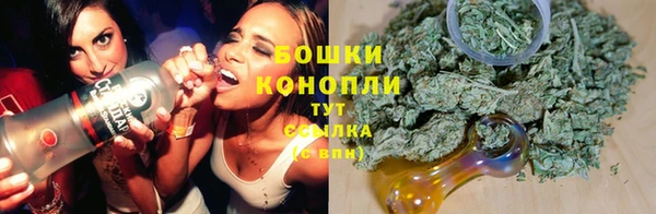 ECSTASY Горняк