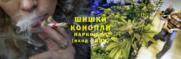 ECSTASY Горняк