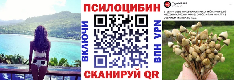 Галлюциногенные грибы прущие грибы  Купить  Питкяранта 