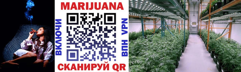 Бошки Шишки гибрид  Купить закладки  Питкяранта 